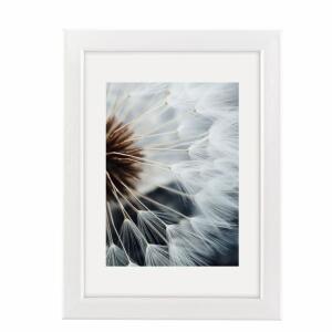 Kunststoffrahmen Breeze  weiß 10x15cm, hama