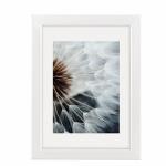 Kunststoffrahmen Breeze  weiß 10x15cm, hama