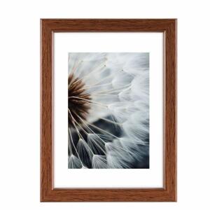 Kunststoffrahmen Breeze  nuss 20x30cm, hama