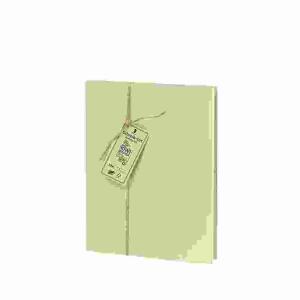Briefpapier-Set 10/10  Terra Kiwi, Briefpapierpack, 10 Blätter / 10 Briefumschläge,