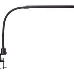 LED-Tischleuchte MAULpirro, dimmbar, schwarz,...