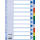 ESSELTE Register blanko A4 PP 10teilig + Deckblatt farbig